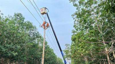 บริษัทไฟฟ้าเจียลายรับประกันการจ่ายไฟฟ้าอย่างปลอดภัยและต่อเนื่องตลอดช่วงวันหยุด 2 กันยายน