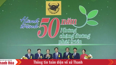 Bình Điền - Hành trình hơn nửa thế kỷ phụng sự nông dân và tầm nhìn tiên phong xanh hóa - số hóa
