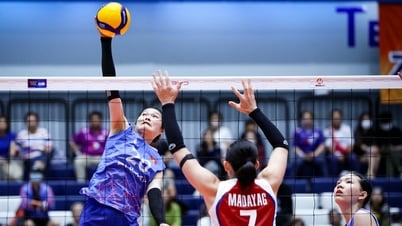 Coupe du monde de volley-ball féminin : le Vietnam rejoint la Thaïlande et le Japon