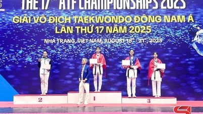 Sơn La có 4 võ sĩ giành huy chương vàng Đông Nam Á