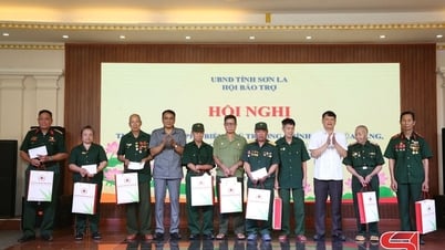 Phổ biến chính sách đối với nạn nhân chất độc da cam/dioxin