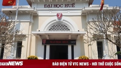 Điểm chuẩn 13 khoa, trường trực thuộc Đại học Huế