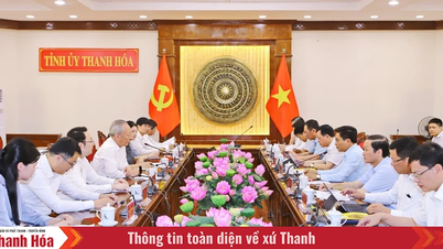 คณะกรรมการประจำพรรคจังหวัด Thanh Hoa ได้รับและทำงานร่วมกับ Pacific Construction Group