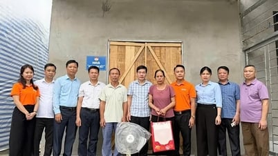 定住後の貧困脱出の努力