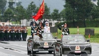 8 lưu ý khi đi xem diễu binh, diễu hành A80