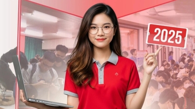 ពិន្ទុគោលឆ្នាំ 2025 នៃសាកលវិទ្យាល័យនៅទីក្រុង Da Nang