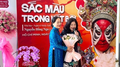 Colors of hát bội through the lens of photographer Nguyen Hong Nga