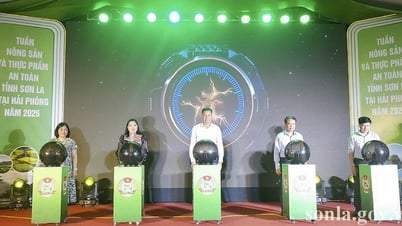 Khai mạc Tuần nông sản và thực phẩm an toàn tỉnh Sơn La tại Hải Phòng năm 2025