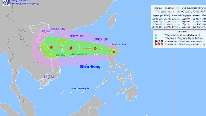 Dự báo ATNĐ mạnh lên thành bão số 5, phạm vi ảnh hưởng rộng