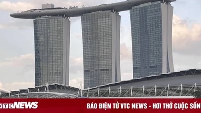 Công nghệ 22/8: Singapore tổ chức tuần lễ AI quy mô lớn vào tháng 10 