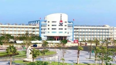 Điểm chuẩn Trường ĐH Phú Yên: Ngành sư phạm ngữ văn cao nhất