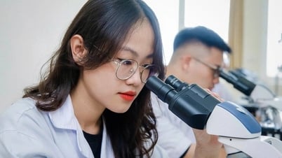 Trường đại học đầu tiên của miền Trung công bố điểm chuẩn