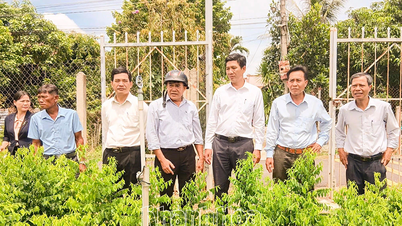 Lãnh đạo Hội Nông dân tỉnh Khánh Hòa làm việc với Hội Nông dân xã Diên Thọ