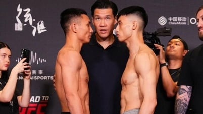 ギエム・ヴァン・Yは準決勝でローレンス・ルイ（ニュージーランド）と対戦する