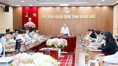 Đề xuất chính sách vượt trội để nâng cao năng lực ngoại ngữ cho học sinh, sinh viên