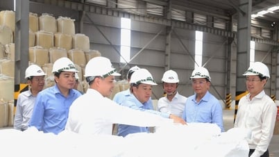Đẩy mạnh đổi mới, sáng tạo toàn diện và đồng bộ, phát triển Công ty Nhôm Lâm Đồng ổn định, bền vững