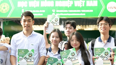 Benchmark-Score der Vietnam Agricultural Academy im Jahr 2025, höchster Wert 24,1