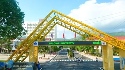 Điểm chuẩn Trường Đại học Hạ Long 2025