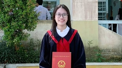 Thí sinh đạt 27,34/30 điểm với 10 điểm địa lý xét tuyển (NV1) vào ĐH Duy Tân