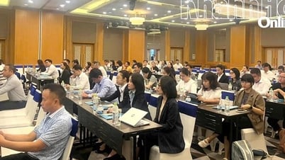 Khánh Hòa: Đại diện hơn 100 doanh nghiệp được tập huấn sử dụng phần mềm quản lý tiêu chuẩn du lịch xanh