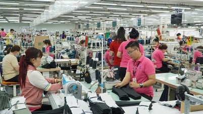 Hướng đến đa dạng thị trường xuất khẩu