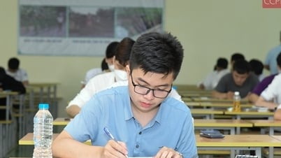 Die Hanoi University of Science and Technology gab den Benchmark-Score bekannt, der höchste liegt bei 29,39 Punkten