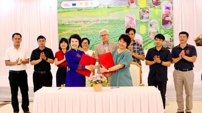 Chương trình giới thiệu dự án Phụ nữ vì nông nghiệp xanh