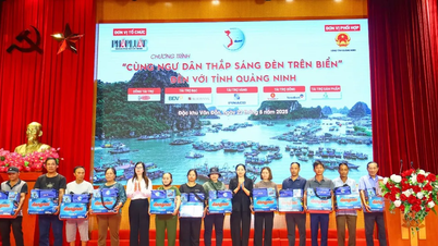 "Iluminando el mar con los pescadores" llega a la zona económica especial de Van Don