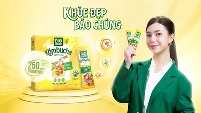 Bio Concept Kombucha - Kombucha mới với chất lượng và khác biệt từ nghiên cứu quốc tế