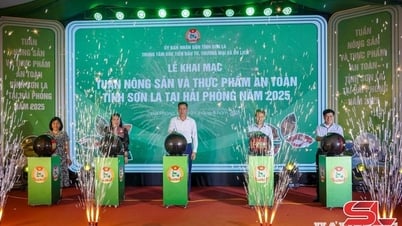 Khai mạc Tuần nông sản và thực phẩm an toàn tỉnh Sơn La tại Hải Phòng năm 2025