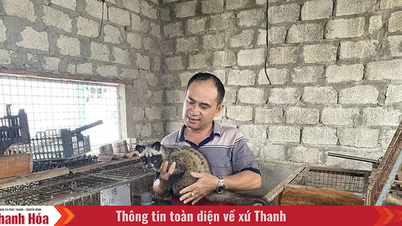 Mô hình con nuôi đặc sản đem lại hiệu quả kinh tế cao