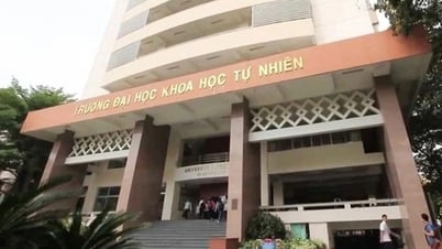 Der Benchmark-Score der Ho Chi Minh City University of Science liegt bei fast 30 Punkten
