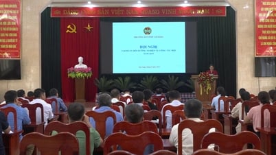 Tập huấn nghiệp vụ công tác Hội Nông dân cho gần 100 cán bộ chuyên trách - Báo Cao Bằng điện tử