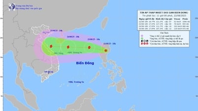 Bão số 5 sắp hình thành có thể mạnh cấp 12, vào đất liền ngày 25/8