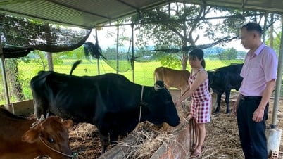 Vận hành ổn định hoạt động tín dụng chính sách