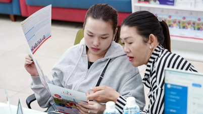 Benchmark-Score der Ho Chi Minh City University of Economics and Finance ab 15 Punkten