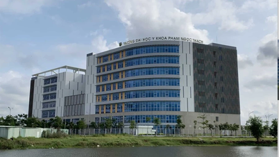 Der höchste Benchmark-Score der Pham Ngoc Thach University of Medicine beträgt 25,55 Punkte.