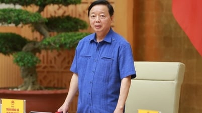 5호 폭풍에 대한 조기, 정확한 예측, 지속적으로 업데이트된 대응 시나리오