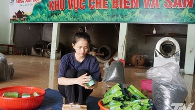 Khi Gen Z làm chè