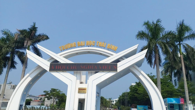 타이빈대학교, 전공별 벤치마크 점수 16점 발표