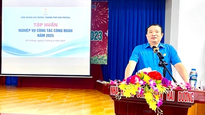 Tập huấn nghiệp vụ công tác công đoàn năm 2025
