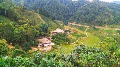 Lào Cai: Thành lập Quỹ hỗ trợ nông dân góp phần phát triển kinh tế nông thôn