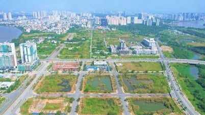 타이닌에 대규모 자본 유입, 재벌 다수 참여