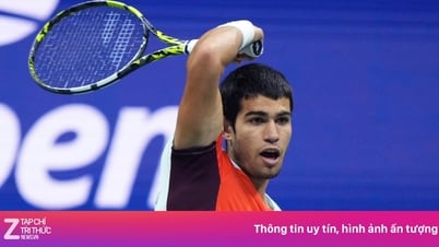 Alcaraz nắm quyền tự quyết trở lại số một thế giới