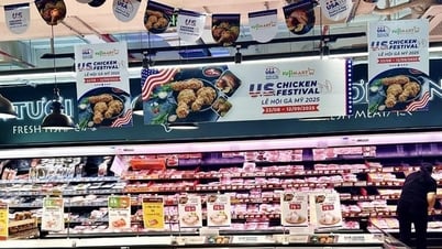 Откройте для себя настоящий американский фестиваль курицы: повысьте вкус домашних блюд — вас ждут приятные сюрпризы!