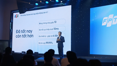 Internet tốc độ 10Gbps chính thức được thương mại hóa cho người dùng Việt Nam