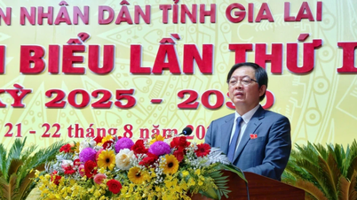 Đại hội Đảng bộ UBND tỉnh Gia Lai lần thứ I: Khẳng định vai trò hạt nhân lãnh đạo trong giai đoạn mới