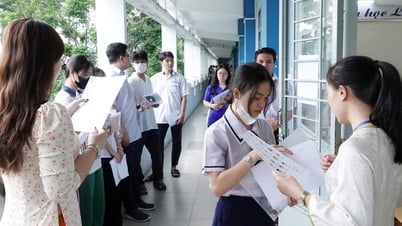 Die Ton Duc Thang University gibt Benchmark-Ergebnisse bekannt und plant zusätzliche Zulassungen