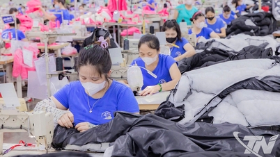 Công ty CP Đầu tư và Thương mại TNG: Hành trình phát triển bền vững