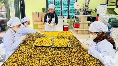 Sản phẩm OCOP: Nâng tầm giá trị truyền thống
